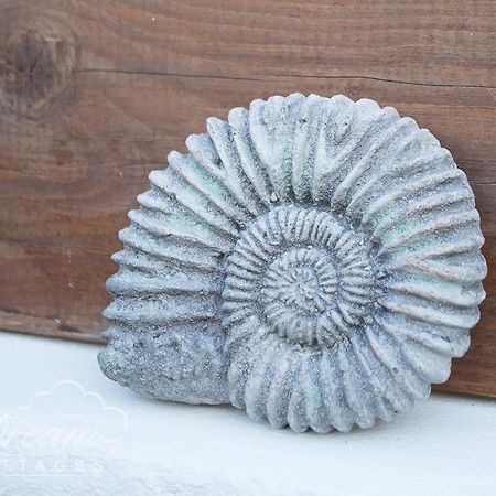 Ammonite Cottage Portland Ngoại thất bức ảnh