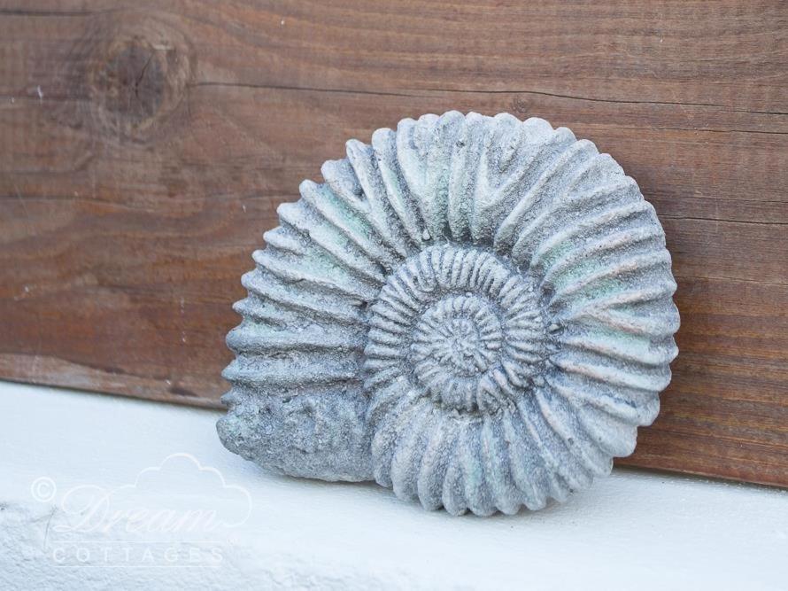 Ammonite Cottage Portland Ngoại thất bức ảnh